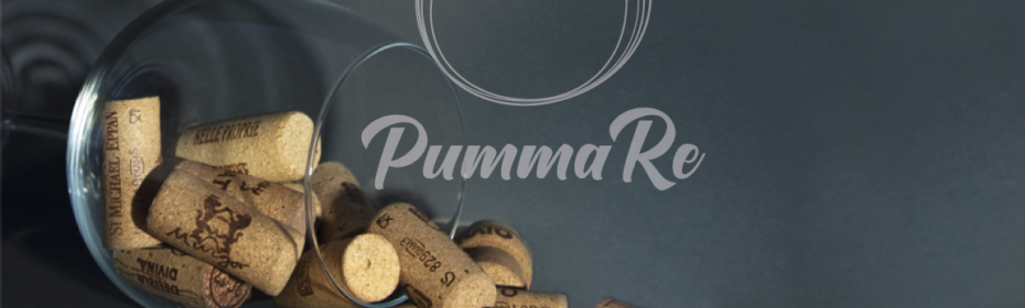 degustazione vino - pummare - cibo vino