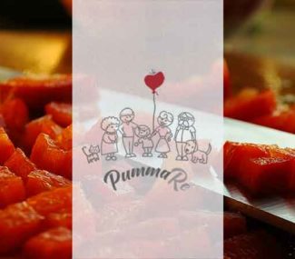 PummaRe – pranzo della domenica – stufato di manzo